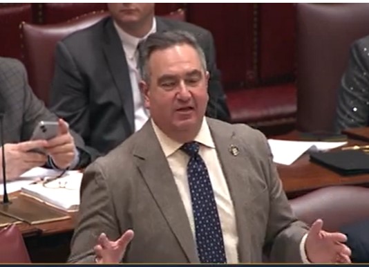 Senate Passes Election Bills, Borrello Debates Portable Voting Site Bill | News, Sports, Jobs - Vimarsana News
